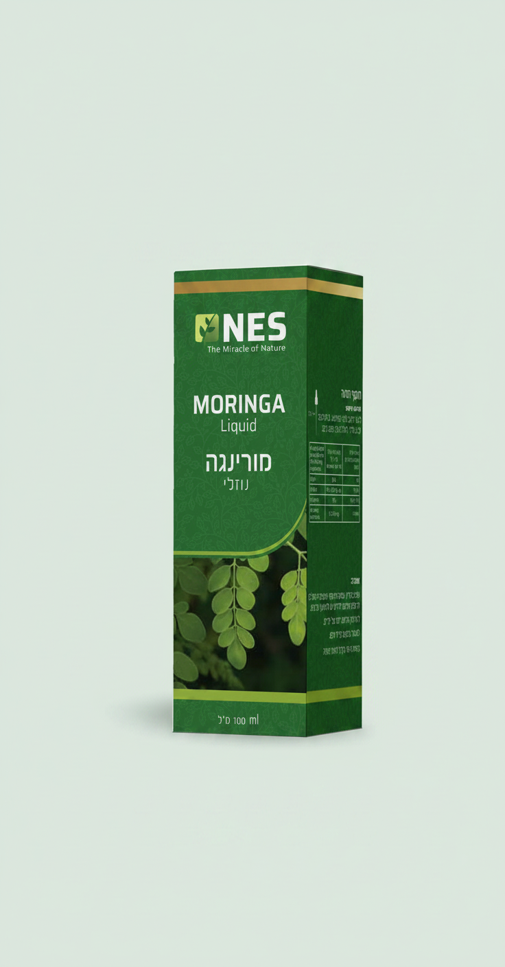 מורינגה