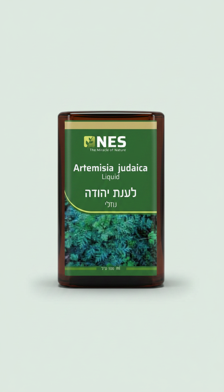 תמצית לענת יהודה ARTEMISIA